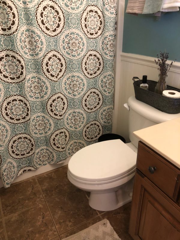 $100 Room Challenge...guest bathroom makeover! See the before pics here ...