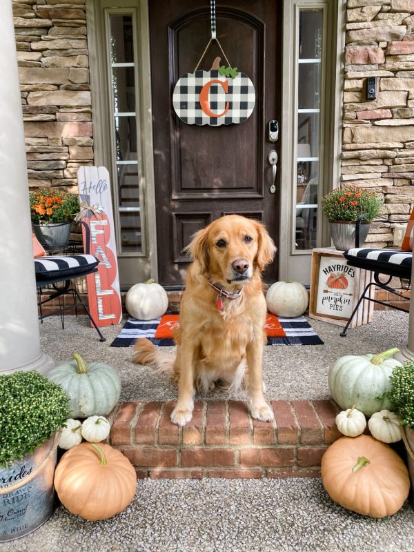 Easy Fall porch ideas - Wilshire Collections